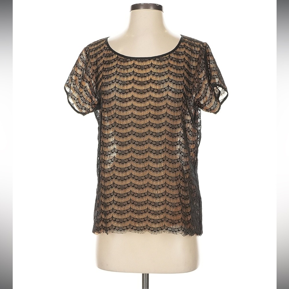 J Crew Lace Top
